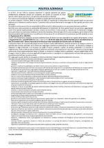 Politica Aziendale